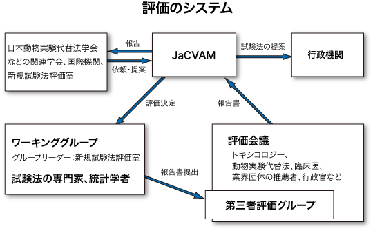 評価のシステム